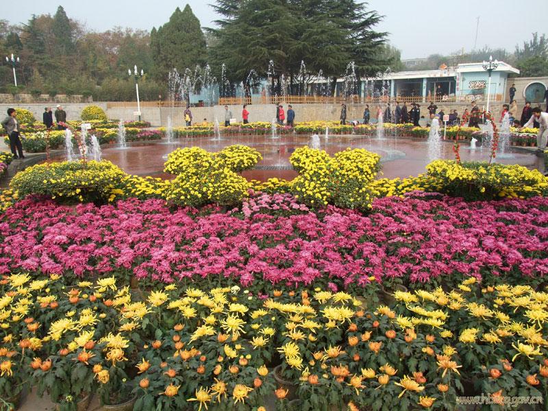 �����ƽ�